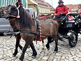IMG_7833